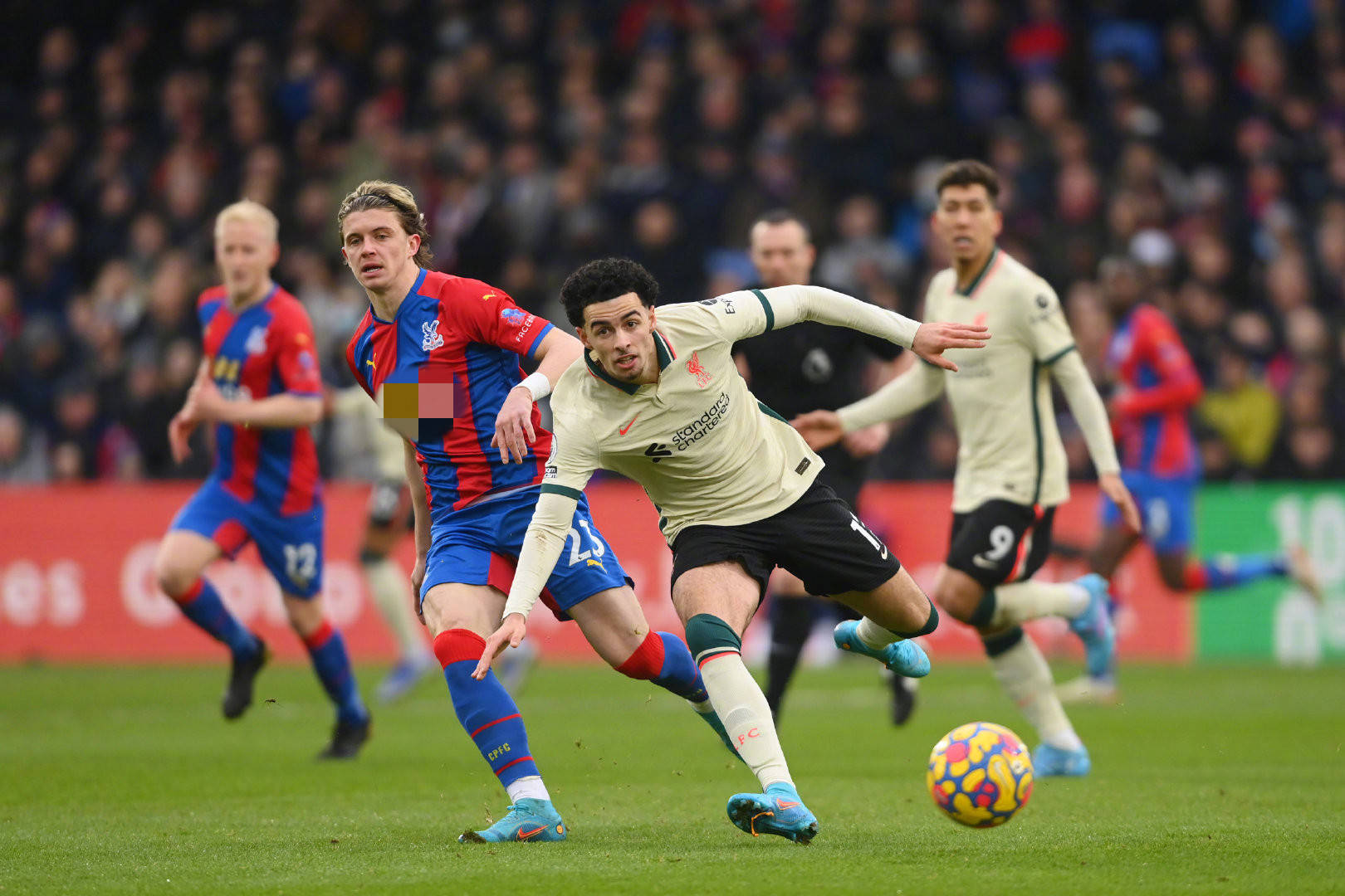 上的新宠地 上的新宠地